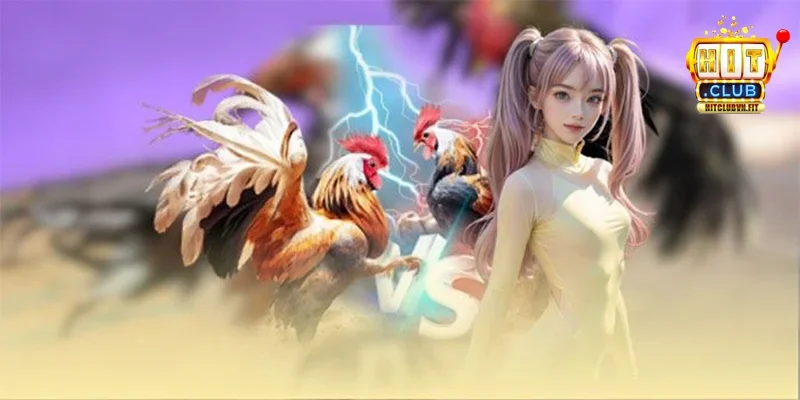 Giải đấu Đua Top